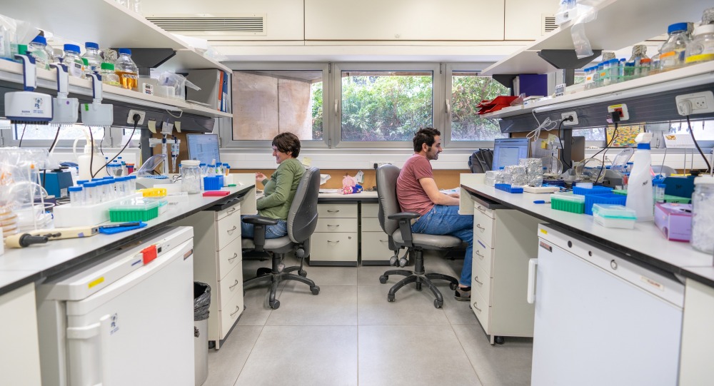 Friedman_lab2