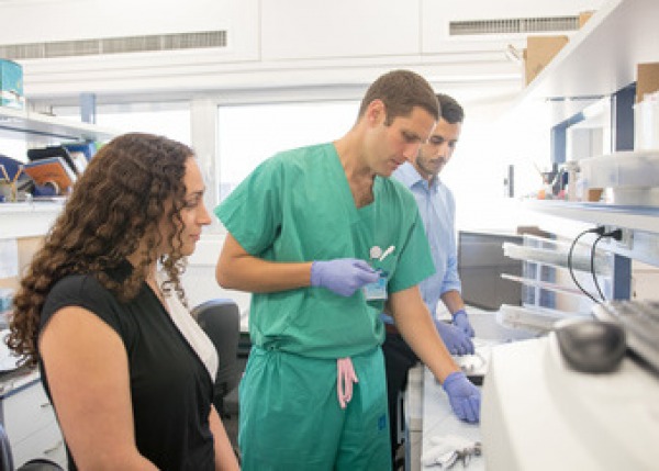 Biodesign wins Award of Excellence 